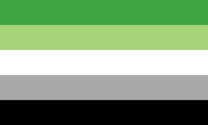 De Aromantic Pride Flag.