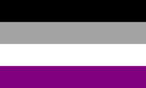 De Asexual Pride Flag.