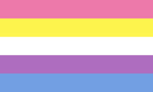 De Bigender Pride Flag - versie 2.