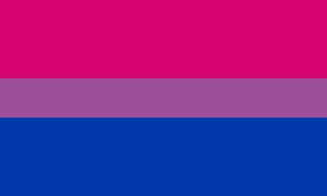 De Bisexual Pride Flag.