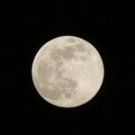 Moon Day