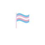 Dag van de Transgender Vlag