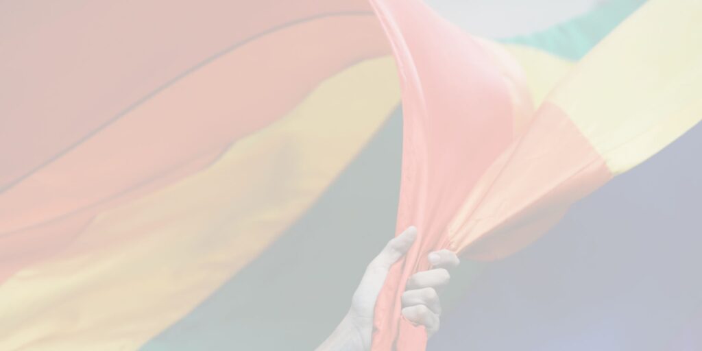 De Vlaggen van de Regenboog - Vlaggen op basis van seksuele oriëntatie