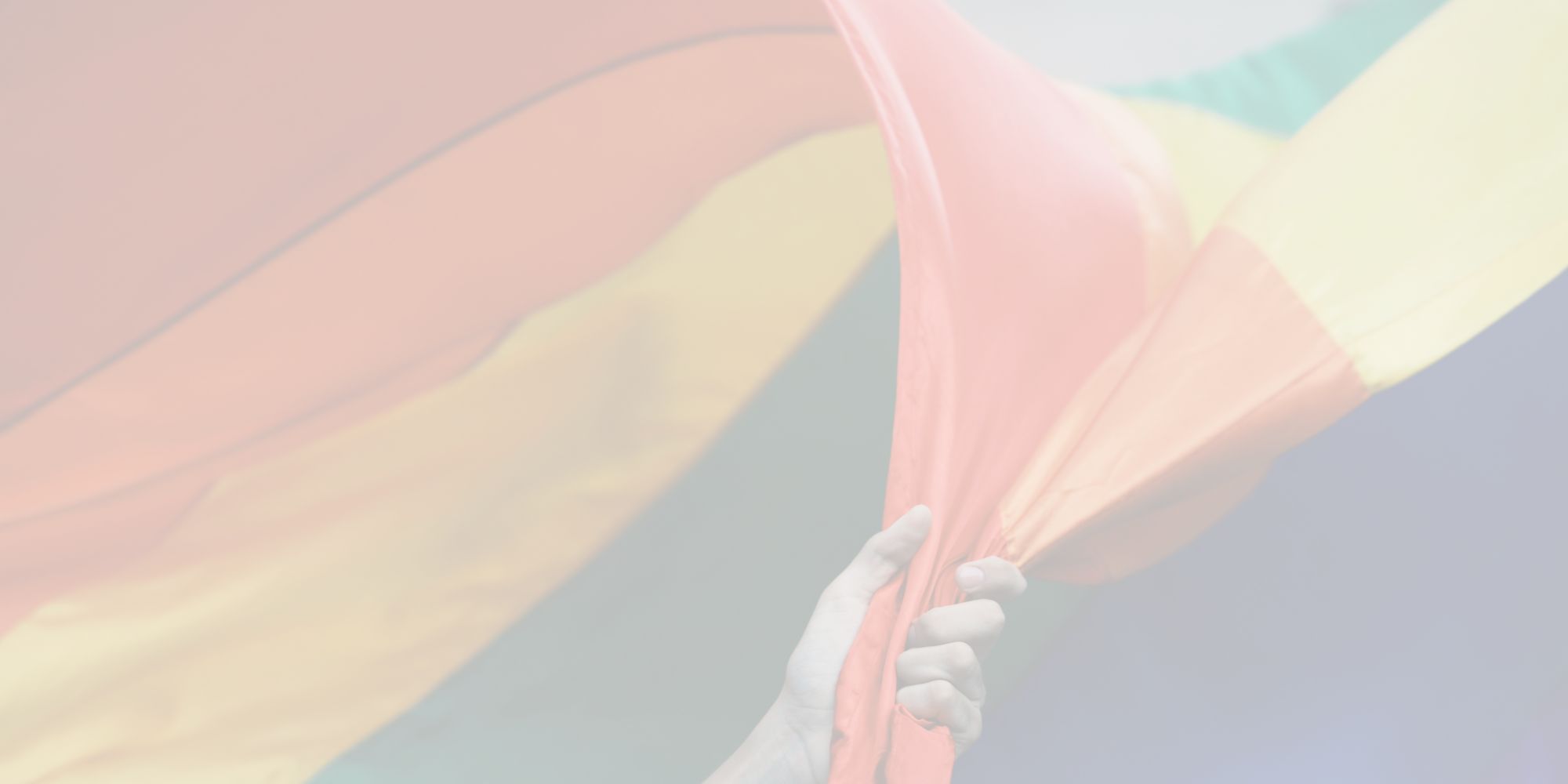 De Vlaggen van de Regenboog - Vlaggen op basis van seksuele oriëntatie