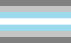 De Demiboy Pride Flag.