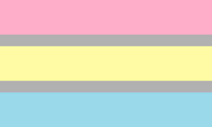 De Demifluid Pride Flag.