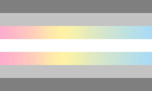 De Demiflux Pride Flag.