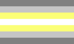 De Demigender Pride Flag.