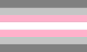 De Demigirl Pride Flag.