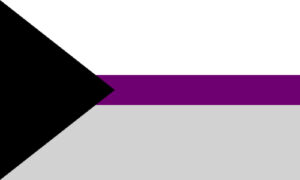 De Demisexual Pride Flag