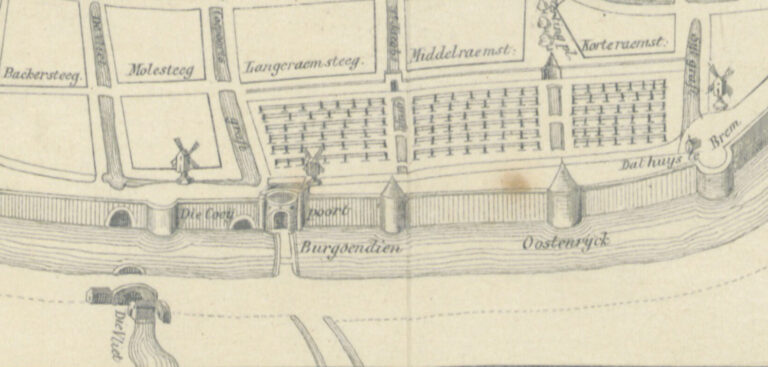 Gedeelte van de verdedigingswerken op de stadskaart.