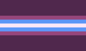 De Gender Non-conforming Pride Flag.