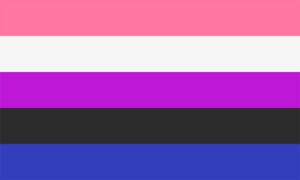 De Genderfluid Pride Flag.