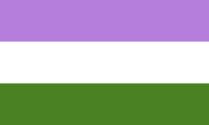 De Genderqueer Pride Flag.