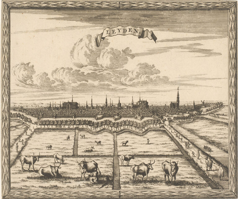 Gezicht op Leiden met de weilanden.