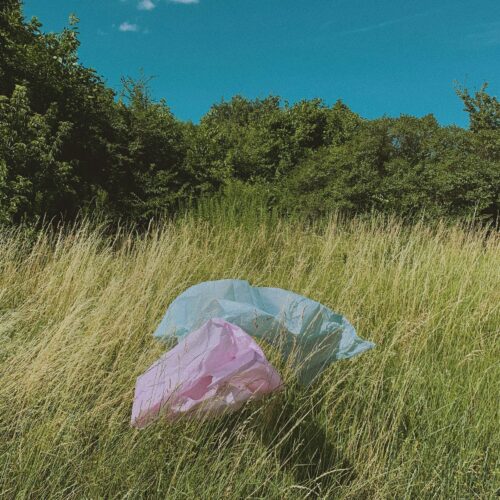 International plastic bag free day
