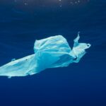 International plastic bag free day