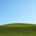 International Day of Clean Air for Blue Skies