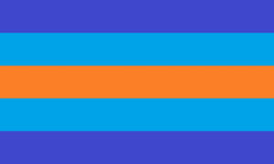 De Multigender Flag.