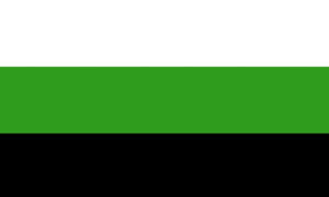 De Neutrois Pride Flag.