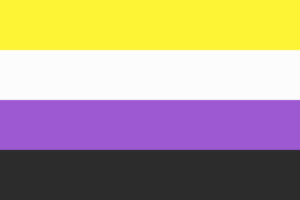 De Non-binary Pride Flag.