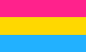 De Pansexual Pride Flag.