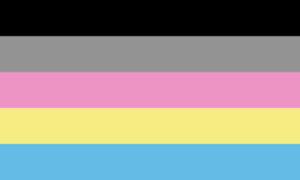 De Polygender Pride Flag.
