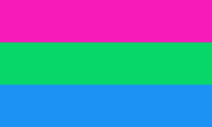De Polysexual Pride Flag.