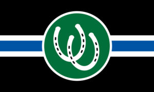 De Pony Pride Flag.