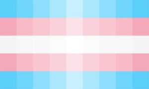 De Pretransgender Flag.