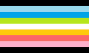 De Queer Pride Flag.