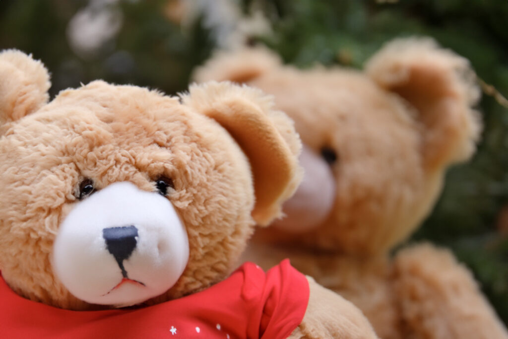 Raadsels op de dag waarop je gaat picknicken met teddyberen