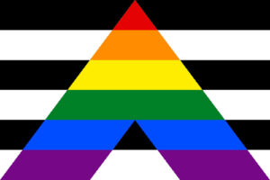De Straight Ally Pride Flag.