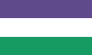 De Suffragette Flag.