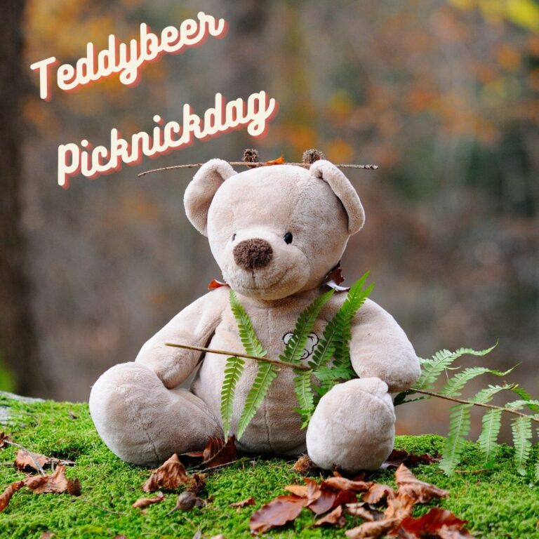 Teddybeer picknickdag