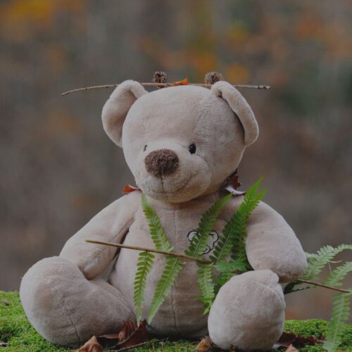 Teddybeer Picknickdag