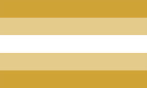 De Third Gender Pride Flag.