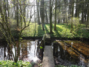 De toegang naar de voormalige binnenplaats van Kasteel Cronesteyn.