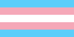 De Transgender Pride Flag.