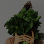 World Vegan Day