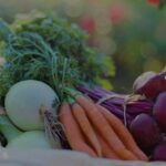 Wereld Vegetarisme Dag