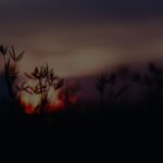 Winter solstice