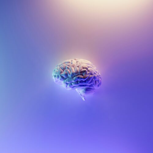 World Brain Day