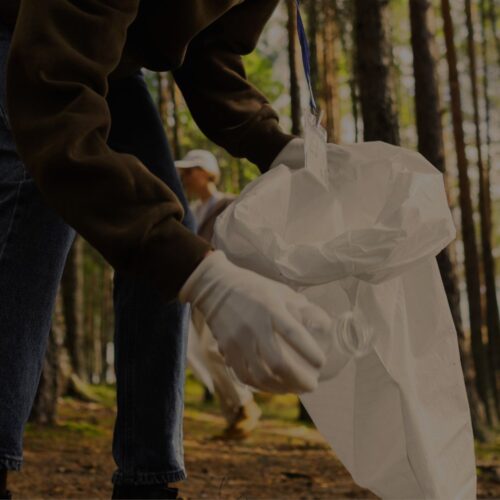 World Cleanup Day