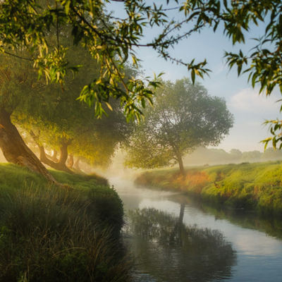 Natuur