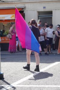 De Biseksuele Pride Vlag.