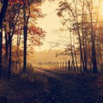 Herfstvakantie Regio Midden.