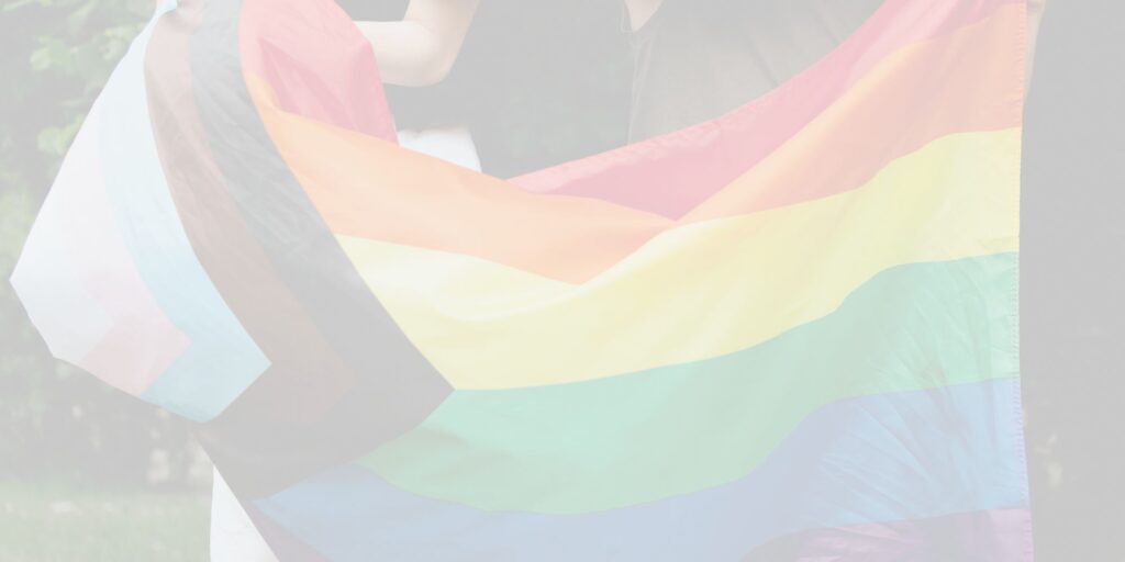 De Vlaggen van de Regenboog - Identiteitsvlaggen