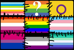De Quiltbag Pride Flag.
