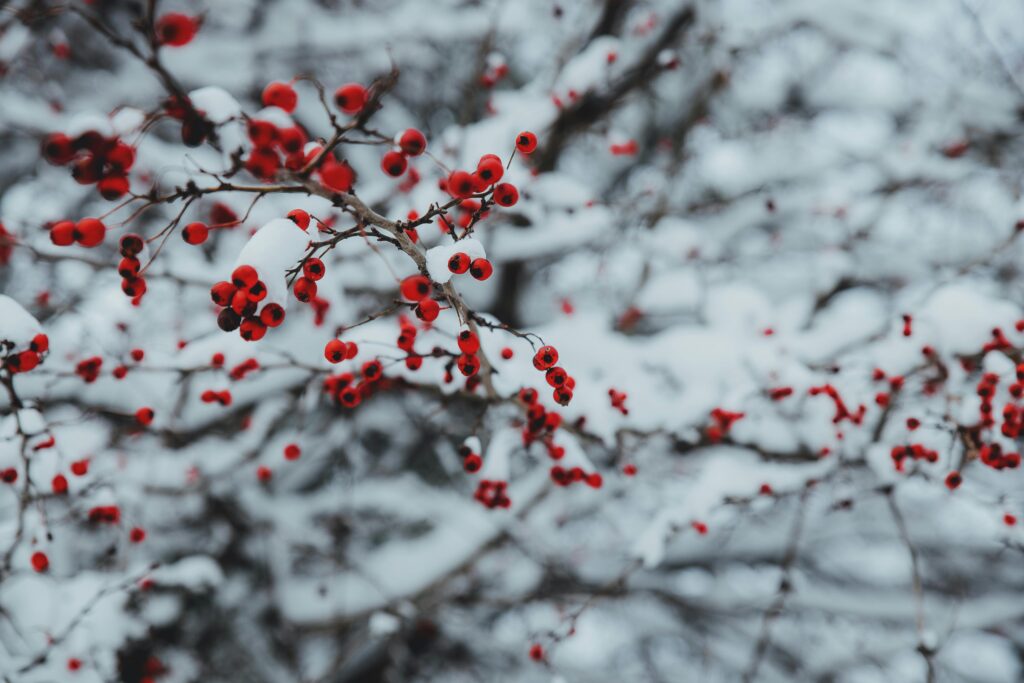 About Last Christmas